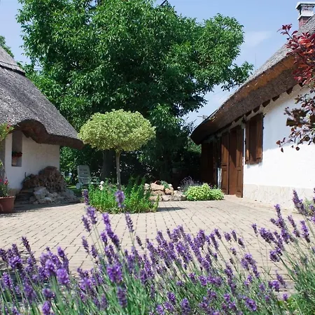 בית נופש Sweet Vendeghaz גיינסדיאס