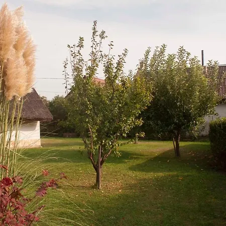 Sweet Vendeghaz Holiday home