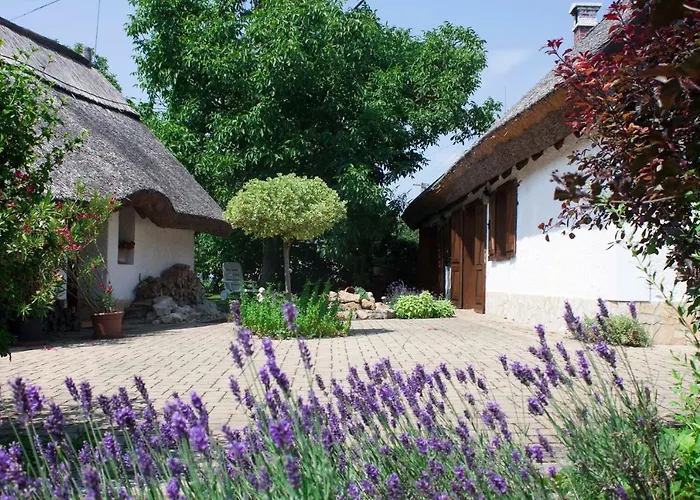 בית נופש Sweet Vendeghaz גיינסדיאס