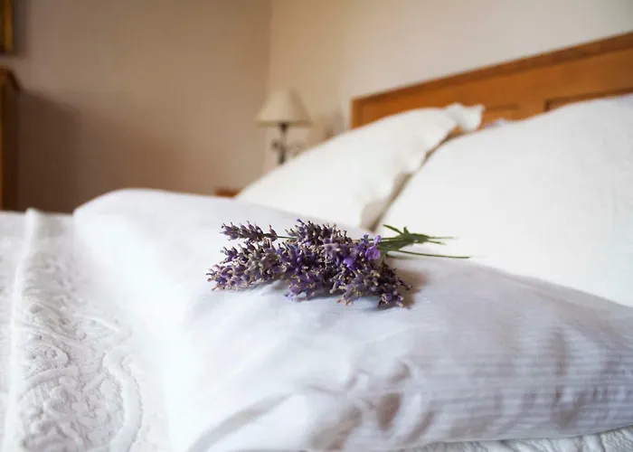 Hébergement de vacances Sweet